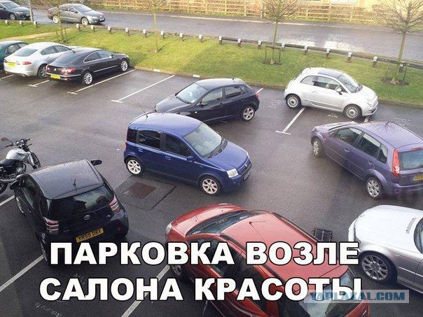Иерархия куриц: Место повыше и клевок в спину. Интересные разборки внутри курятника
