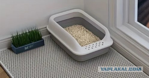 КотоТуалет