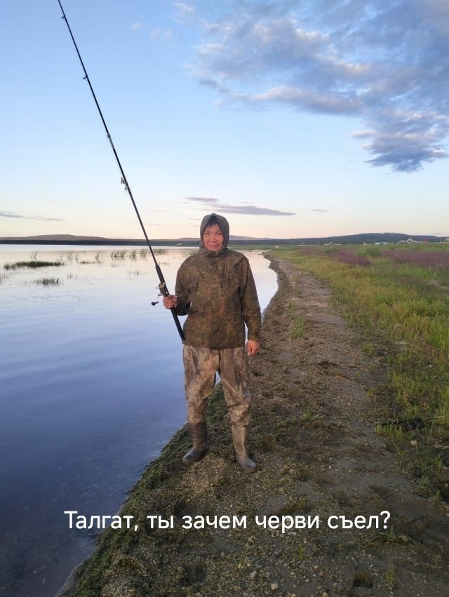 Профотожабте пожалуйста