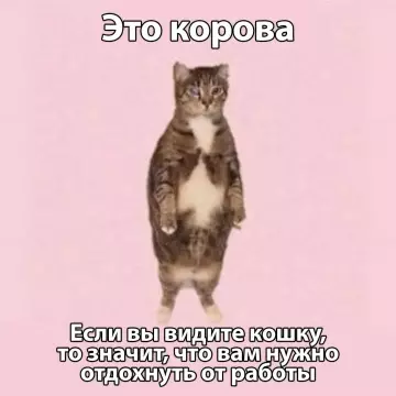 Картиночки, баянчики 09 марта