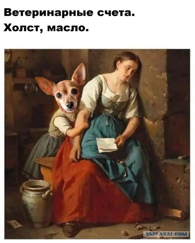 Картинки для деградации 291 (разной степени свежести)