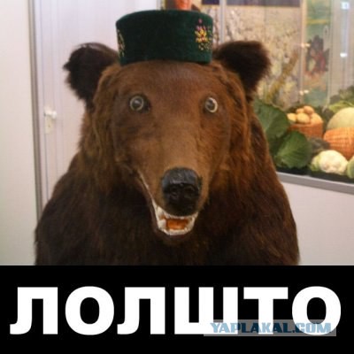 «Беркут» нашел на баррикадах доказательство