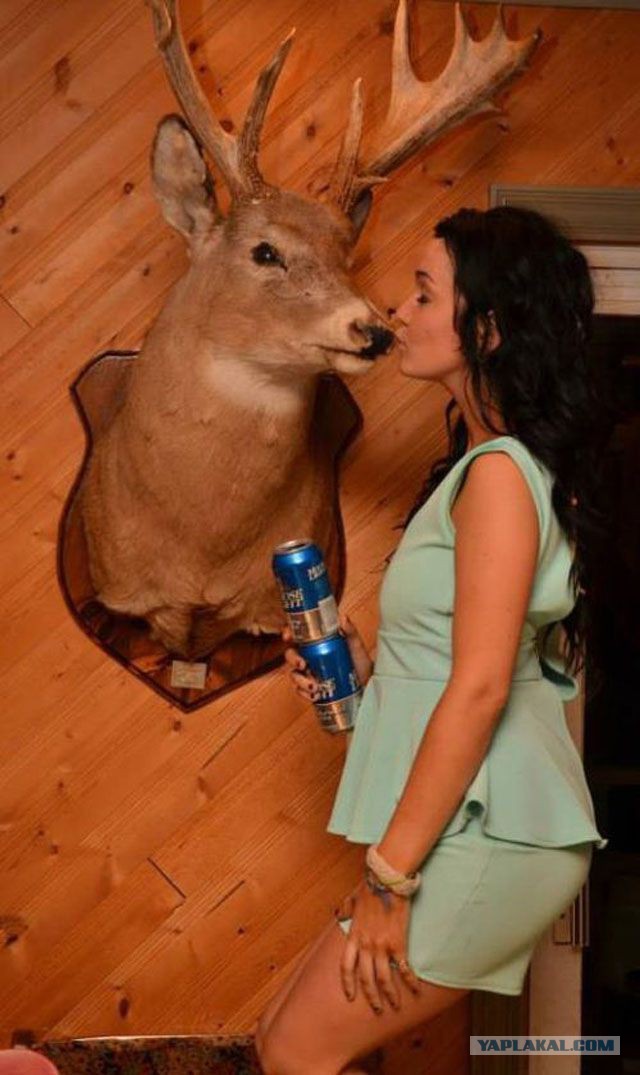 Пьяные, они такие пьяные ...