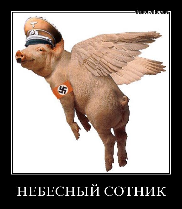 Десяток карикатур