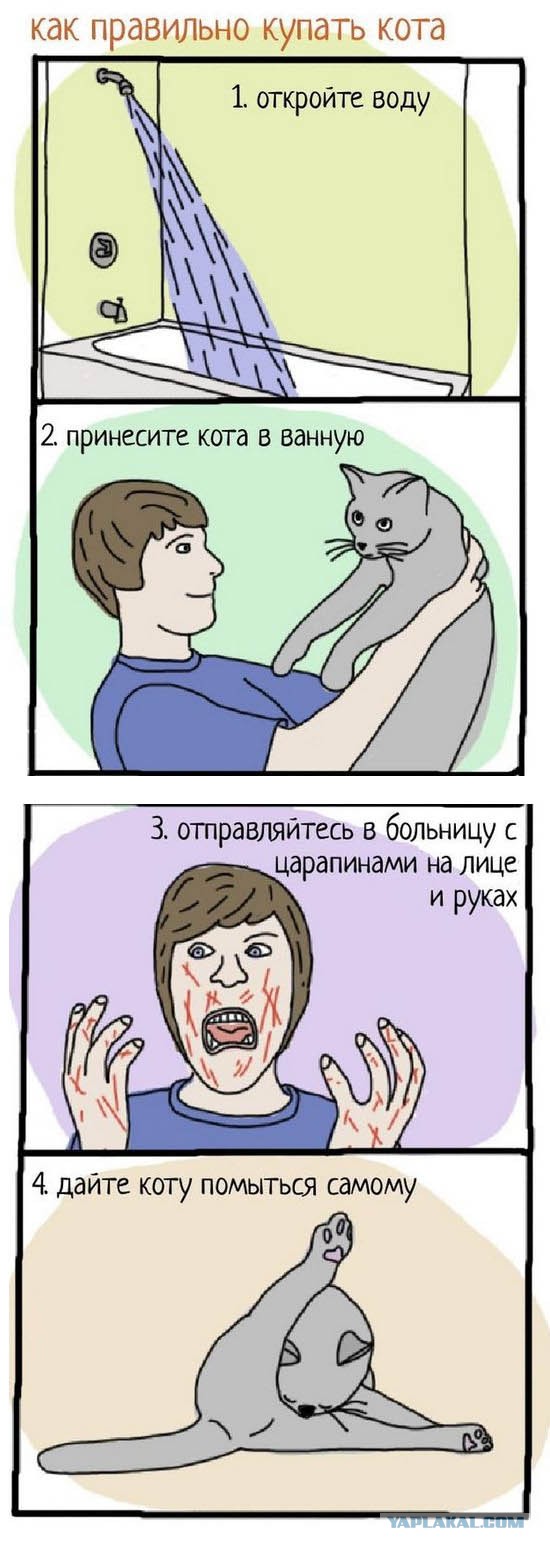 Последние секунды перед...