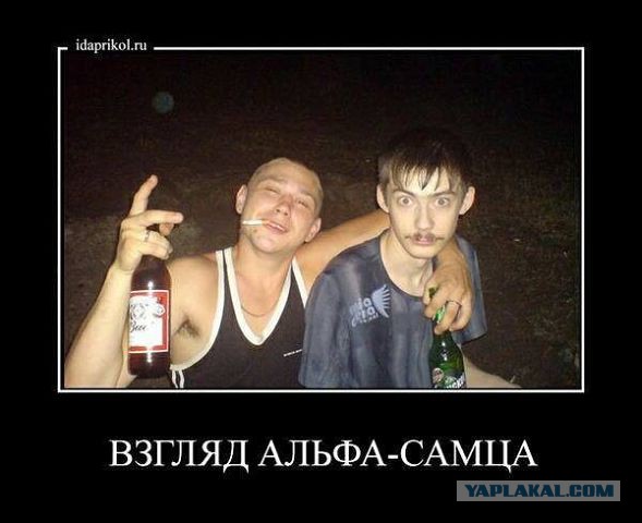 Улыбнуло часть "2"