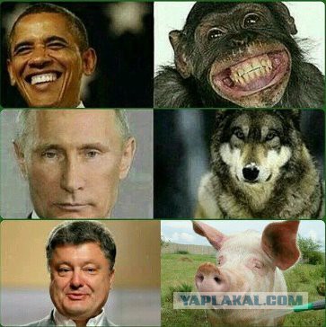 Путин и Обама