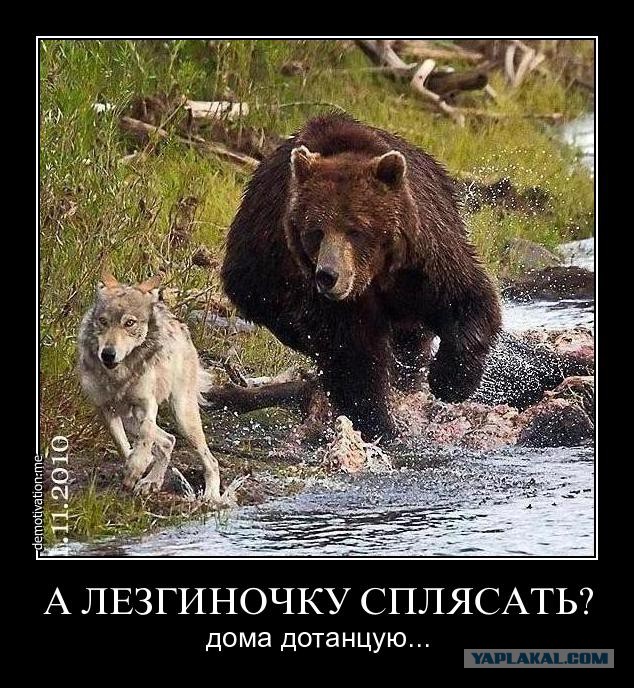 Русские  расстреляли дагестанцев