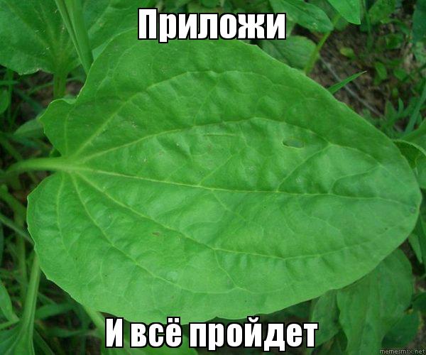 Р›РѕРїСѓС… Р»РѕС…