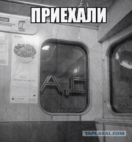 Смешные картинки