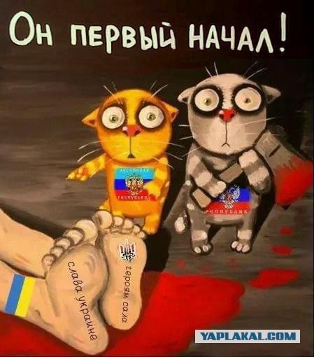 Лидеры ополчения пообещали освободить всю Украину