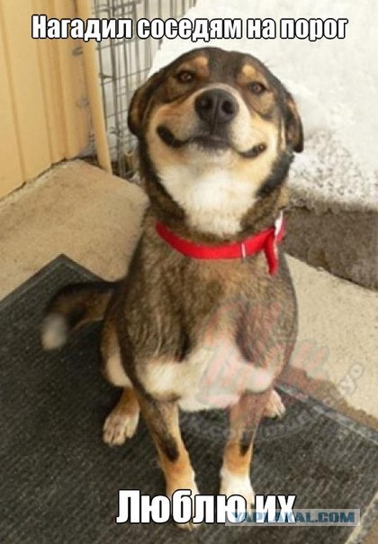 Cфотал пока спала