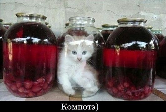 Картинки на пятницу