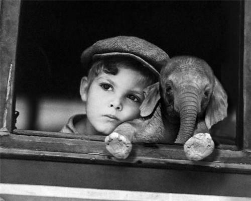 Ангеле Меркель пришлось догонять Петра Порошенко, чтобы пожать руку