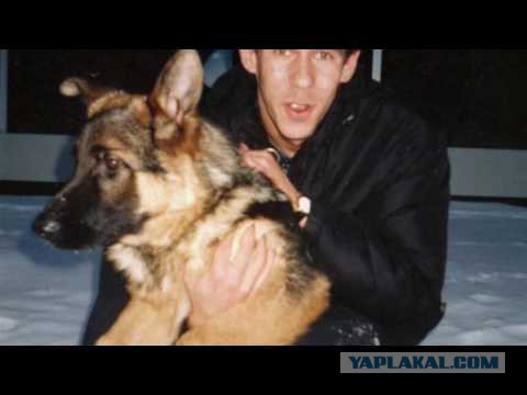 Мнение об ответственности "насильников" студентки МАДИ