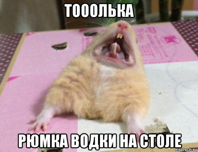 "Это все потому, что кто-то слишком много ест!"