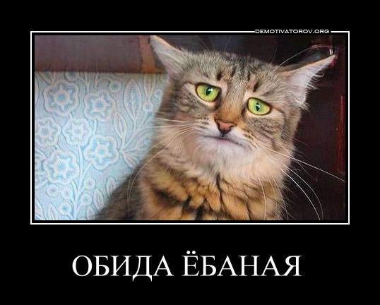 Юнкер отказался считать Украину частью Евросоюза и НАТО