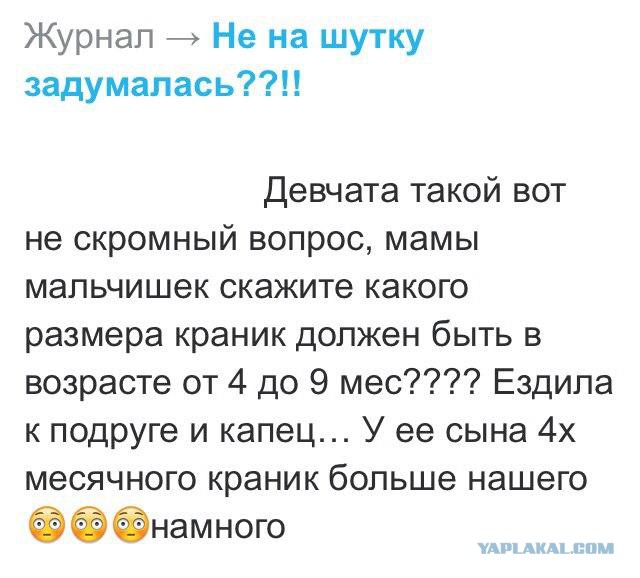Журнал школьный деградант