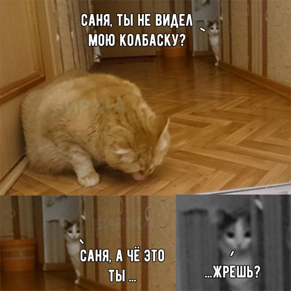 Немного разного юмора