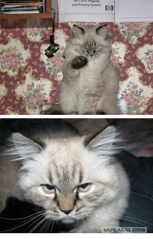 КОТовторник 13.04.2010г.