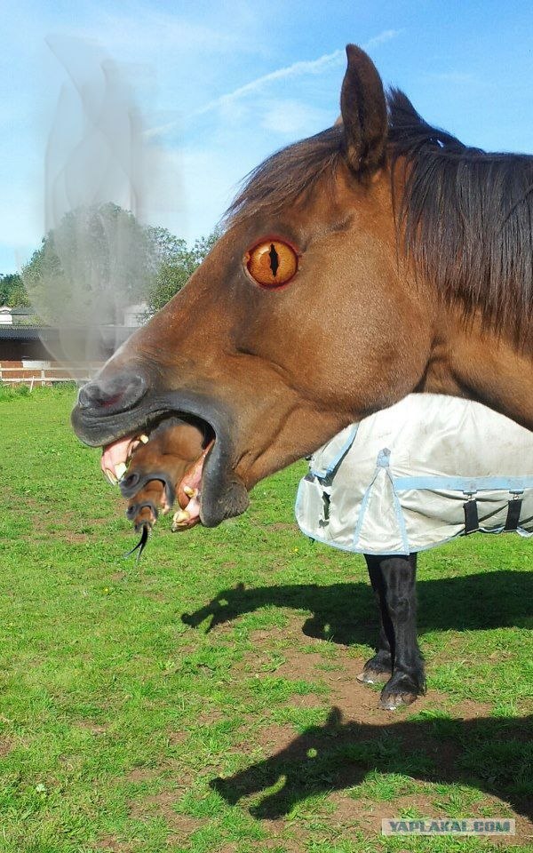 Лошадь из фильма "Чужой"