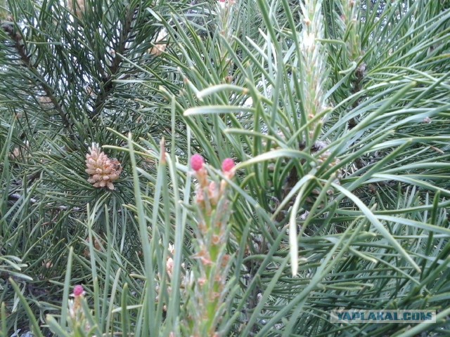 Давайте делиться фотками прошедшего дня