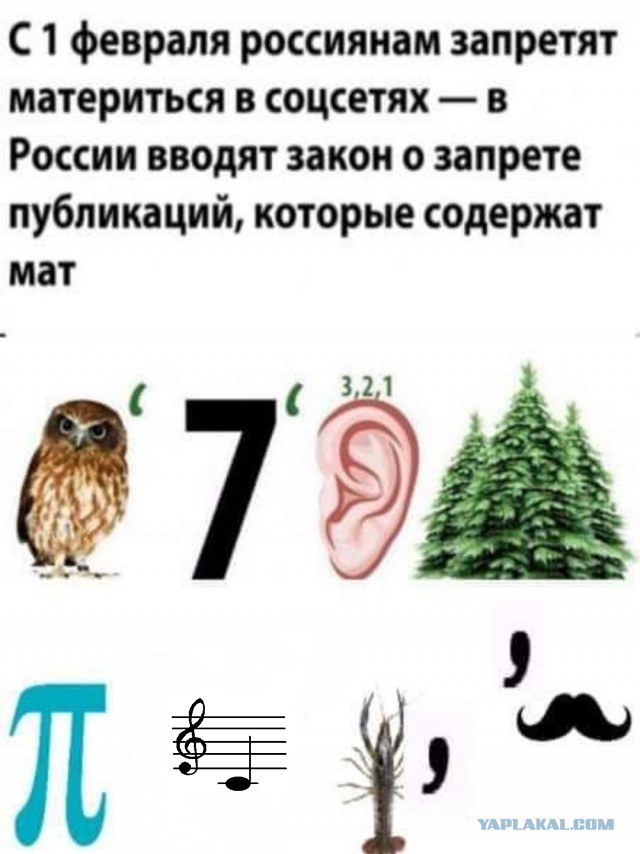 Бредзона 20.01.2021