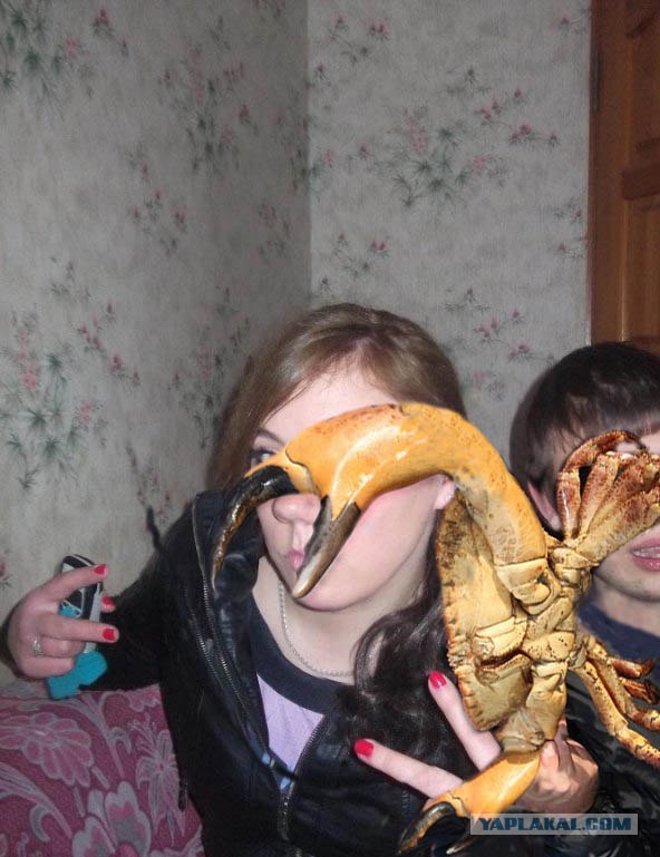 Поворот не туда 5