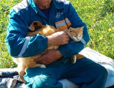 Подобрашка к котовторнику