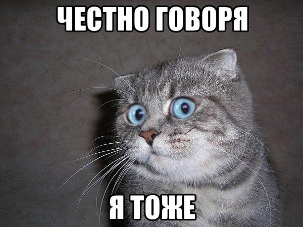 В Танзании маленький песик атаковал двух огромных львов