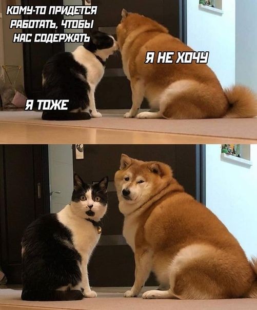 Чуток картинок 07.09.2021