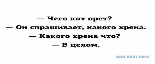 Когда жизнь несправедлива и все кругом тебя достали