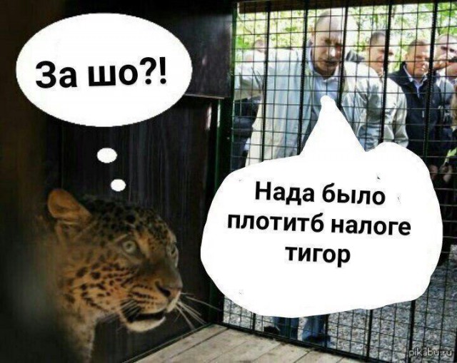 Правительство внесло в Госдуму законопроект о повышении налоговой ставки для уехавших россиян с 13-15% до 30%