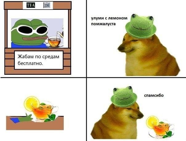 Нуштош 03.08.2023