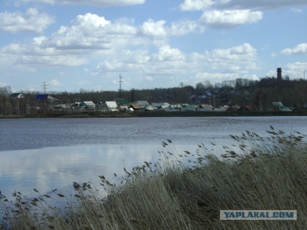 Им здесь зарабатывать, а нам здесь помирать.