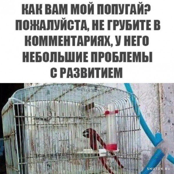 Тлидцать тли от 6 маЛта