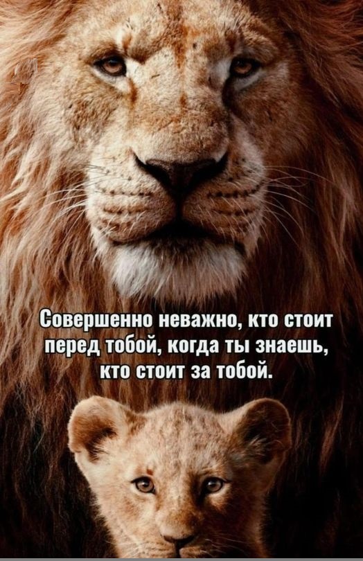 Картинки разные с надписями и без