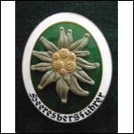 Ветеран ВДВ СССР со знаком эдельвейса Вермахта