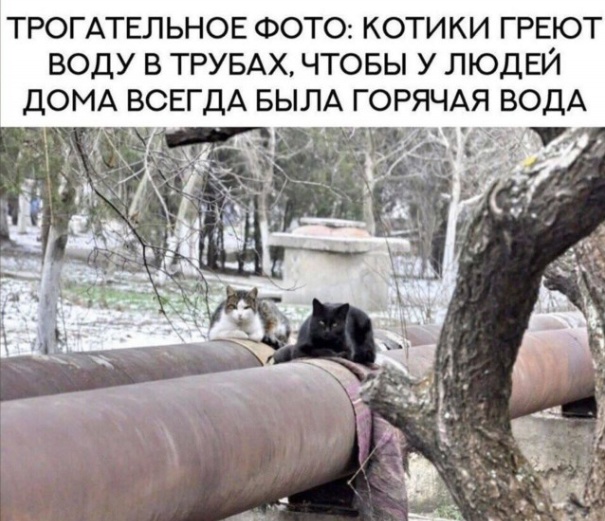 Так себе картинки 08.05.25