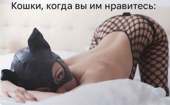 Забавные и не очень скромные картинки - 24