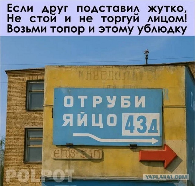 20742877.jpg