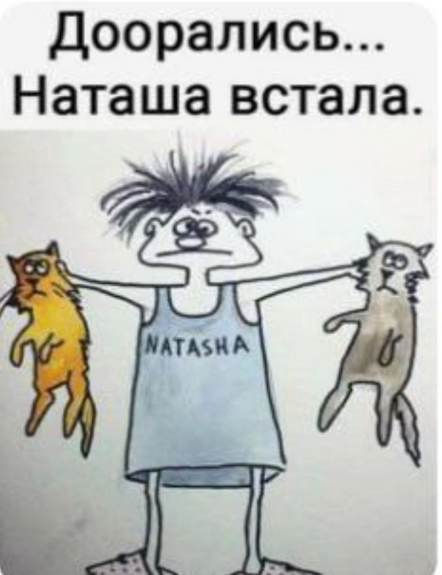 К котовторнику: подборка картинок-баянов с котиками и про котиков. Выпуск 32.