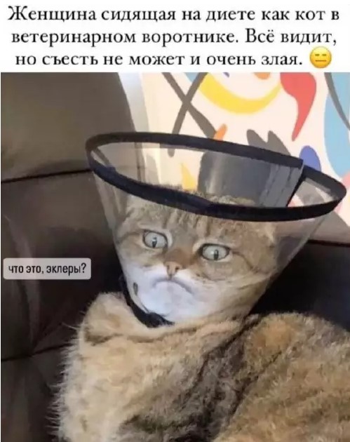 Картиночки, баянчики 14 марта