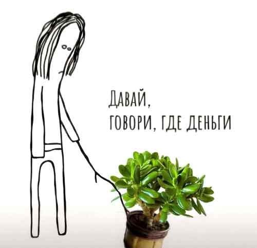 Картинки для деградации 274 (разной степени свежести)