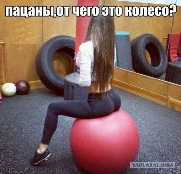 Подборка прикольных фото.