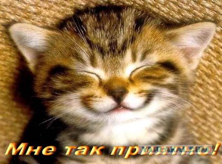 Чёрт, чёрт, чёрт!