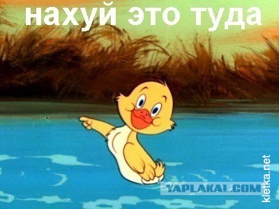 Немножко мобило-фоток с открытия осенней охоты