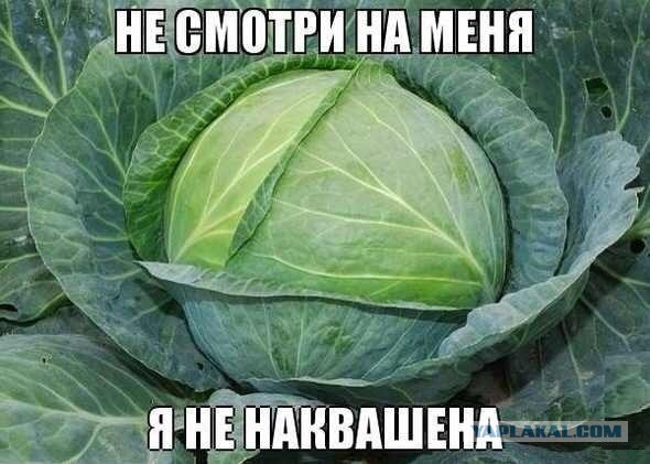 Картинки для настроения