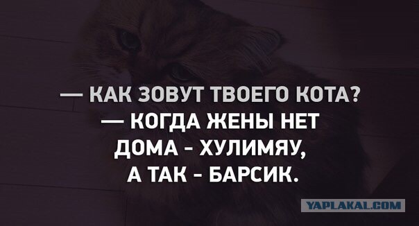 Забавные картинки из сети