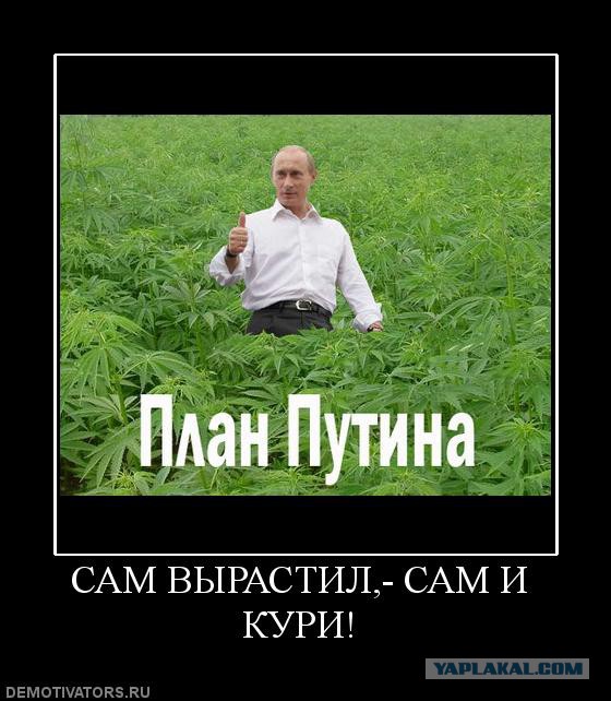 Сигареты могут подорожать втрое со следующего года